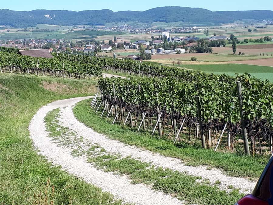 Gysel Weine vom Haumesser in Wilchingen, Switzerland