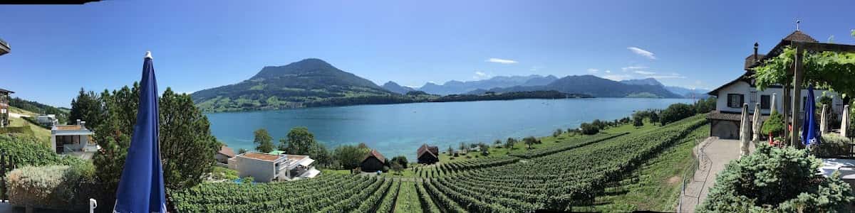Sigrist Weingut Letten AG in Meggen, Switzerland