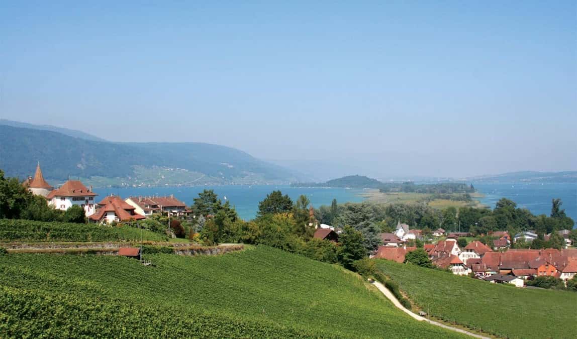 Stettler Wein Erlach in Erlach, Switzerland