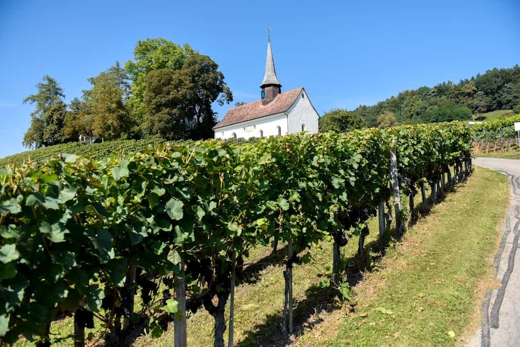 Glesti Weinbau in Oberstammheim, Switzerland