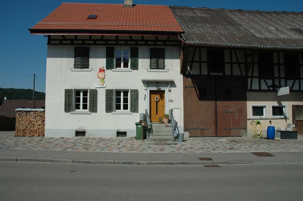 Weinbau in Freienstein-Teufen, Switzerland