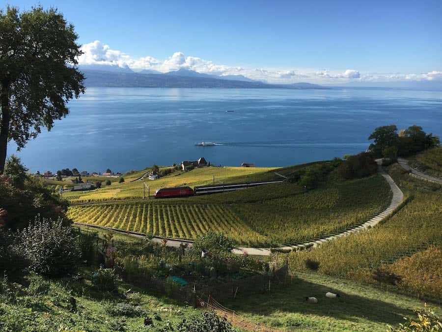 Domaine Mermetus in Aran, Switzerland