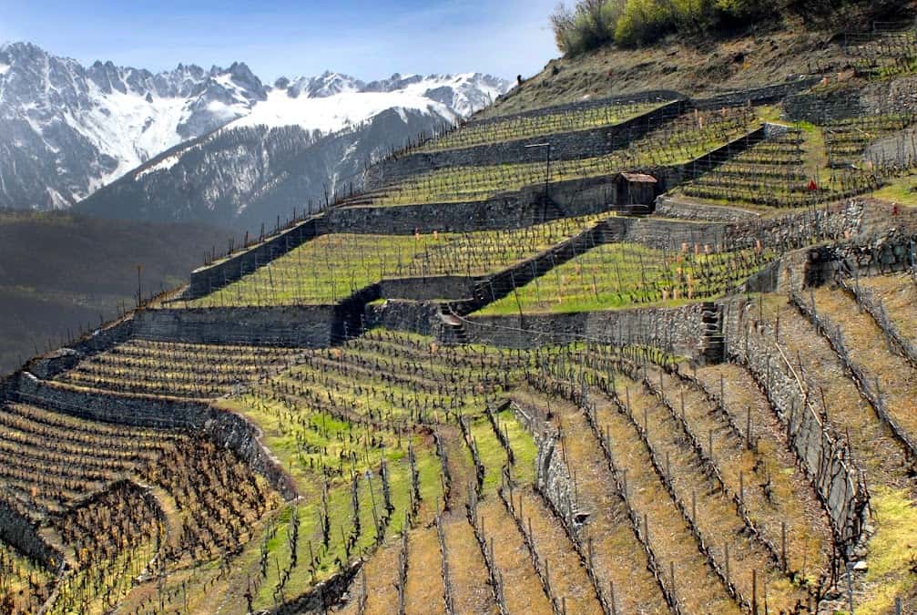 Cave du Bonheur Sàrl Isabelle Ançay in Fully, Switzerland