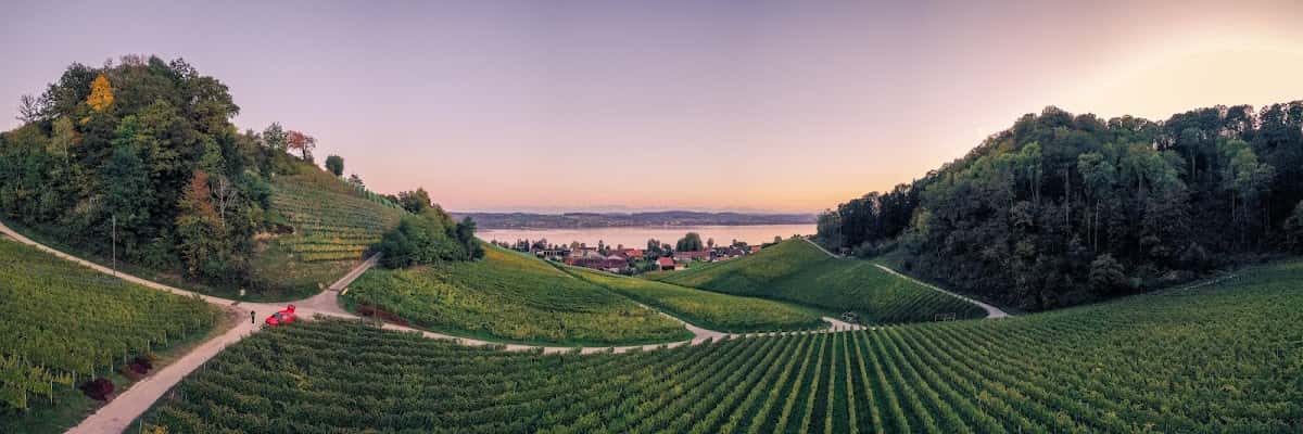 Cave Guillod SA in Bas-Vully, Switzerland