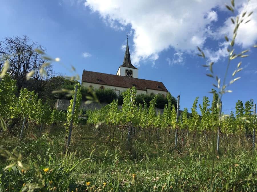 Andreywein in Ligerz, Switzerland