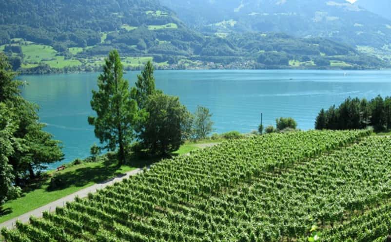 Casanova Wein Pur AG in Walenstadt, Switzerland