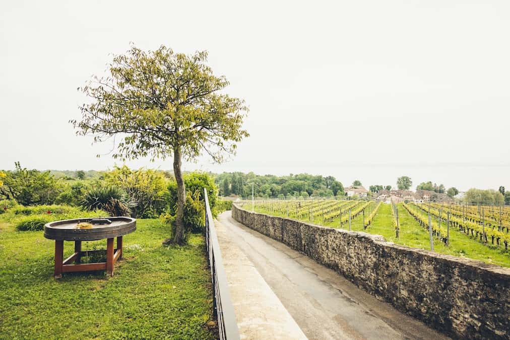 Neuchâtel Vins et Terroir in Cernier, Switzerland