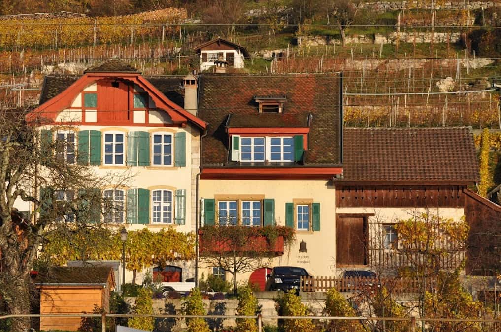 Johannes Louis Weinbau in Ligerz, Switzerland