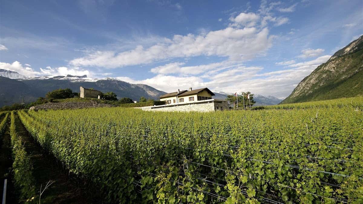 Domaines Rouvinez SA in Sierre, Switzerland