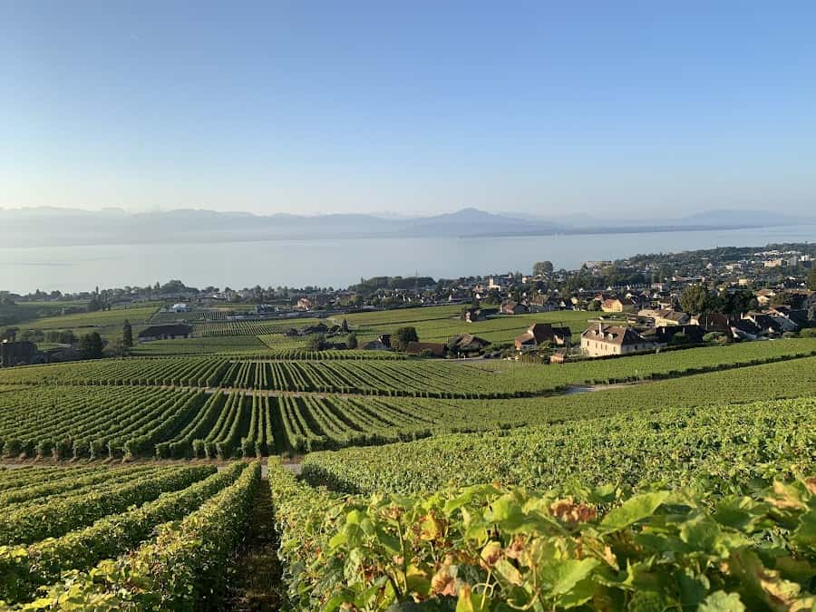 Domaine de Roliebot in Mont-sur-Rolle, Switzerland