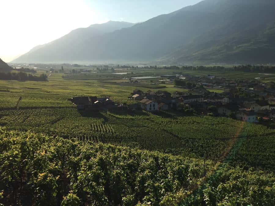Domaine Mettaz in Fully, Switzerland
