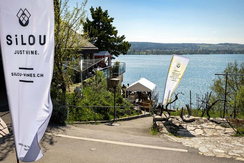 SiLOU Wines in Tüscherz-Alfermée, Switzerland