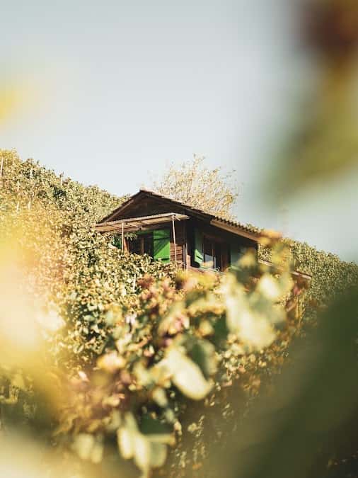 Hamacht Weine in Winterthur, Switzerland