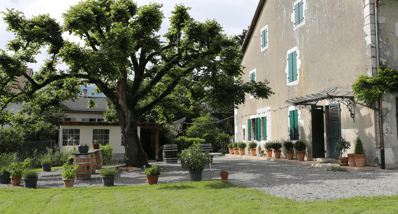 Domaine la Clé de Sol in Satigny, Switzerland