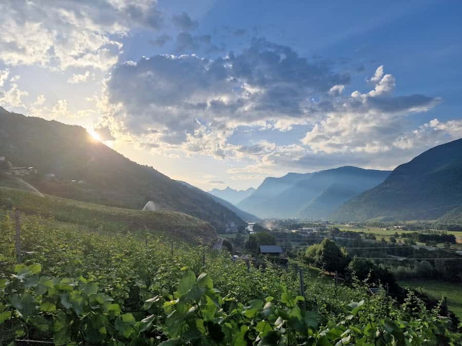 Ruffiner Jean-Luc Leimera Weine in Eyholz, Switzerland