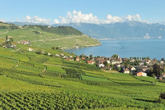 Domaine Blaise Duboux - Art du vin in Epesses, Switzerland