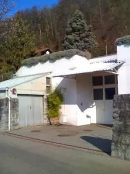 Klausener Eric e Fabienne, Vitivinicoltura in Purasca, Switzerland