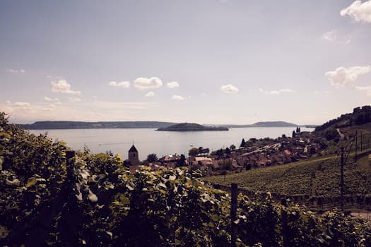 Weingut Frauenkopf in Twann, Switzerland