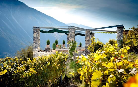 Wines Vins Vouilloz in Varen, Switzerland