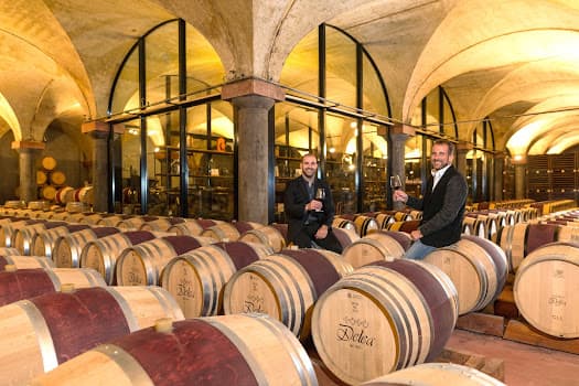 Delea Angelo SA in Losone, Switzerland