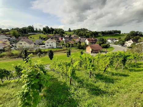 Weinbauverein Bussnang in Bussnang, Switzerland