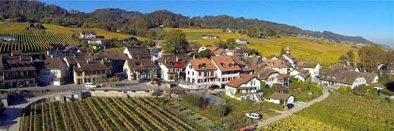 La Montardière Caves Munier in Tartegnin, Switzerland