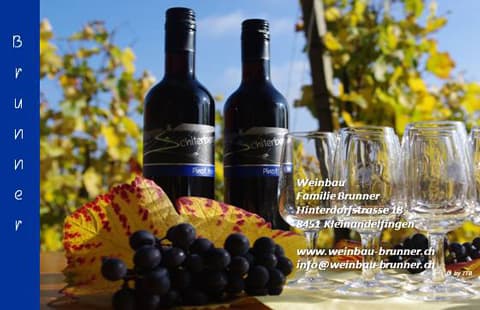 Weinbau Familie Brunner in Kleinandelfingen, Switzerland