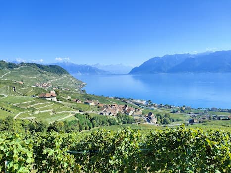 Union Vinicole Cully in Cully, Switzerland