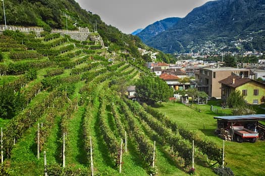 Settemaggio SA in Monte Carasso, Switzerland