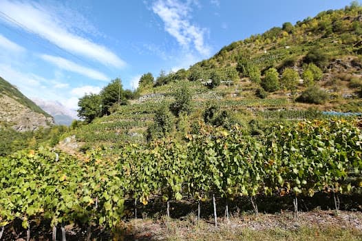 DIROSO Weinkellerei in Turtmann, Switzerland