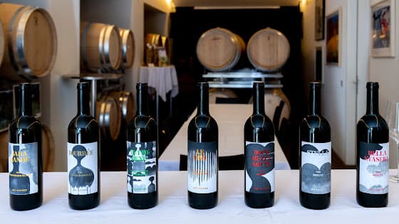 Vino Hauser in Contone, Switzerland