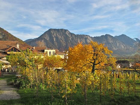 Weingut Fromm in Malans, Switzerland