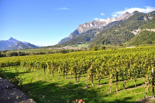 Weingut Anjan Boner in Malans, Switzerland