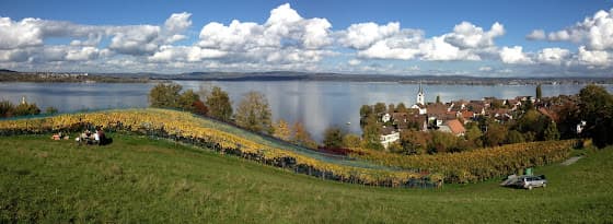 Meier Wein in Berlingen, Switzerland