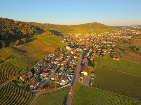 Weingut Haug in Weiningen, Switzerland