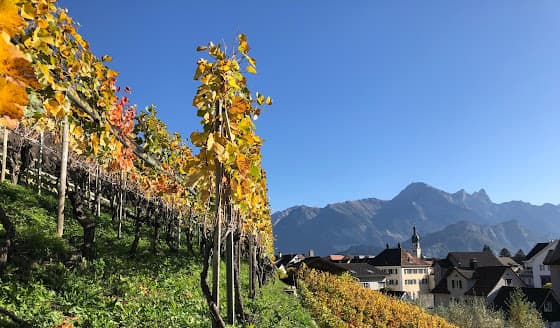 Rathauskeller Mels in Mels, Switzerland