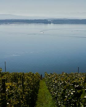 Clos Vert in Biel/Bienne, Switzerland