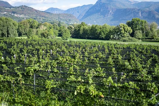 Agriloro SA in Genestrerio, Switzerland