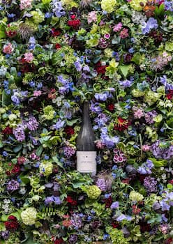 JAVET & JAVET in Lugnorre, Switzerland