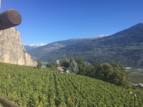 McCulloch Wines in Chamoson, Switzerland