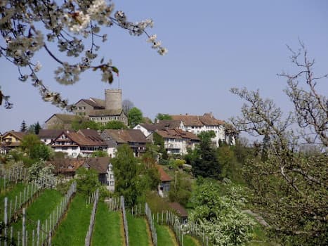 Weingut Weidmann in Regensberg, Switzerland