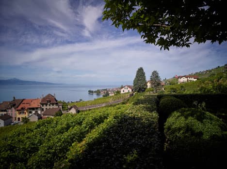 Clos De La Republique in Epesses, Switzerland