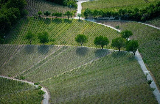 Cave du Chevalier Bayard SA in Varen, Switzerland