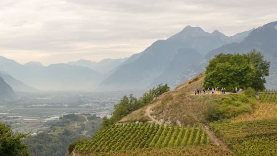 Cave Bridy in Savièse, Switzerland