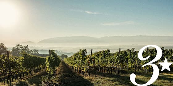 Domaine des Trois Étoiles in Satigny, Switzerland