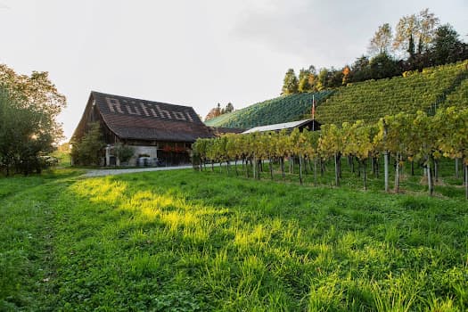 Weingut Rütihof in Stäfa, Switzerland