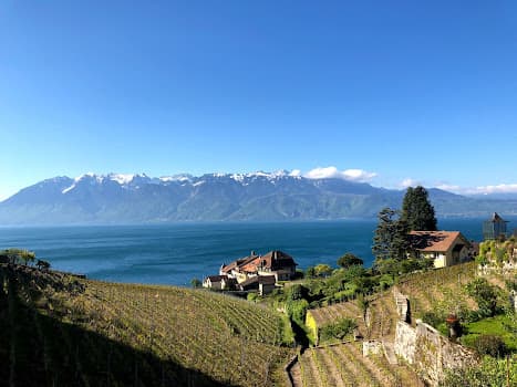 FONJALLAZ Louis in Epesses, Switzerland