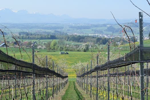Roth Weinbau in Hohenrain, Switzerland
