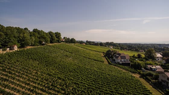 Domaine Debluë in Founex, Switzerland