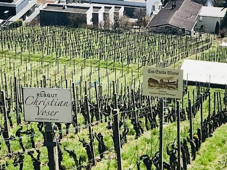 Christian Voser Weine in Neuenhof, Switzerland